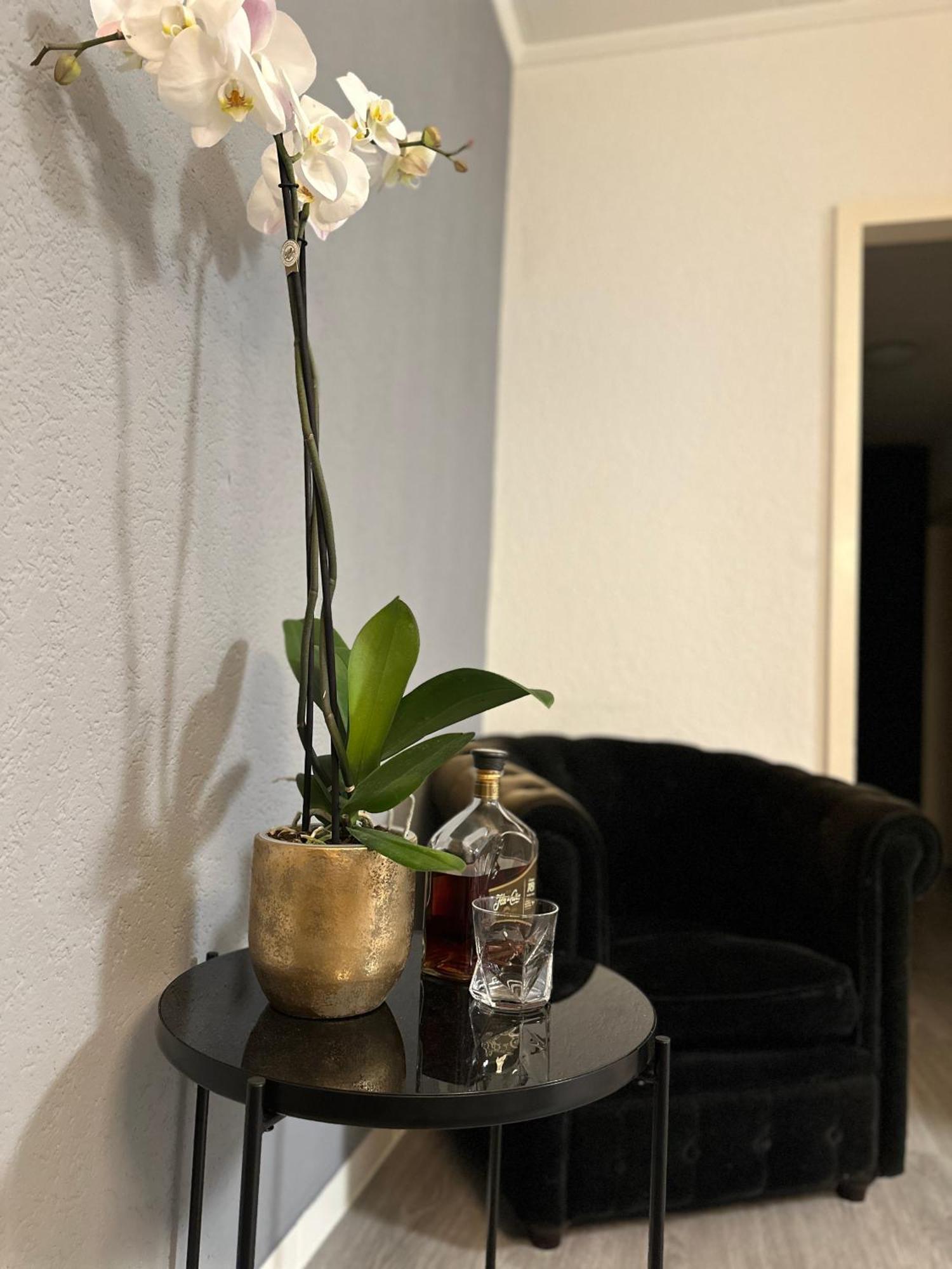 Lindo Apartamento En El Centro De Lozan Dış mekan fotoğraf