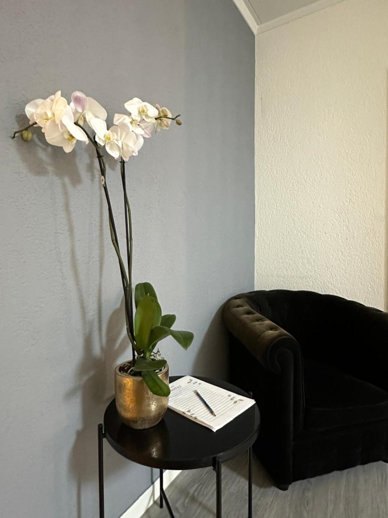 Lindo Apartamento En El Centro De Lozan Dış mekan fotoğraf